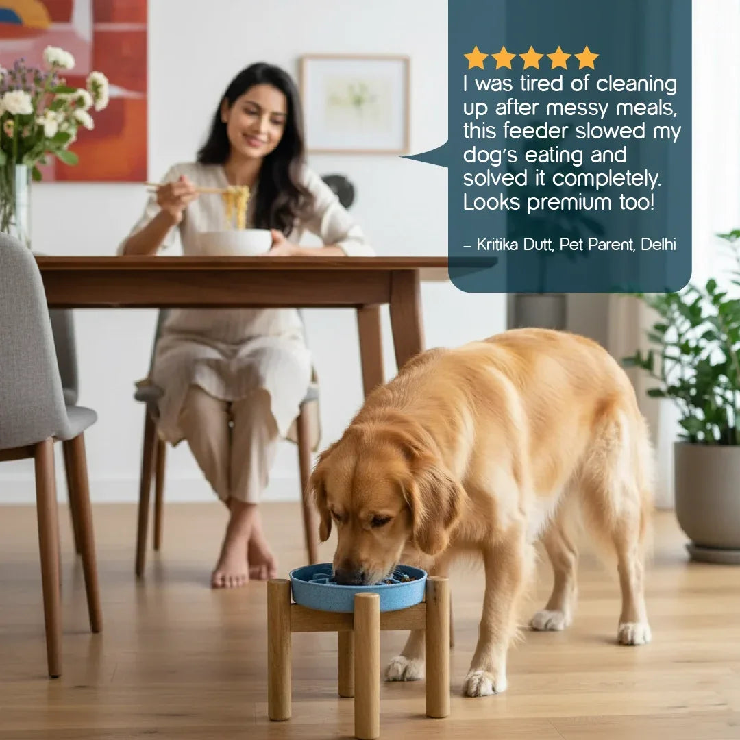 MangoMatte Feeder – Stylish Slow Feeder Bowl for Dogs - Tilting Heads