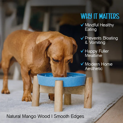 MangoMatte Feeder – Stylish Slow Feeder Bowl for Dogs - Tilting Heads