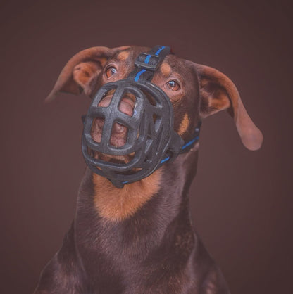 Snout Gaurd | Safe & Breathable Muzzle for Dogs