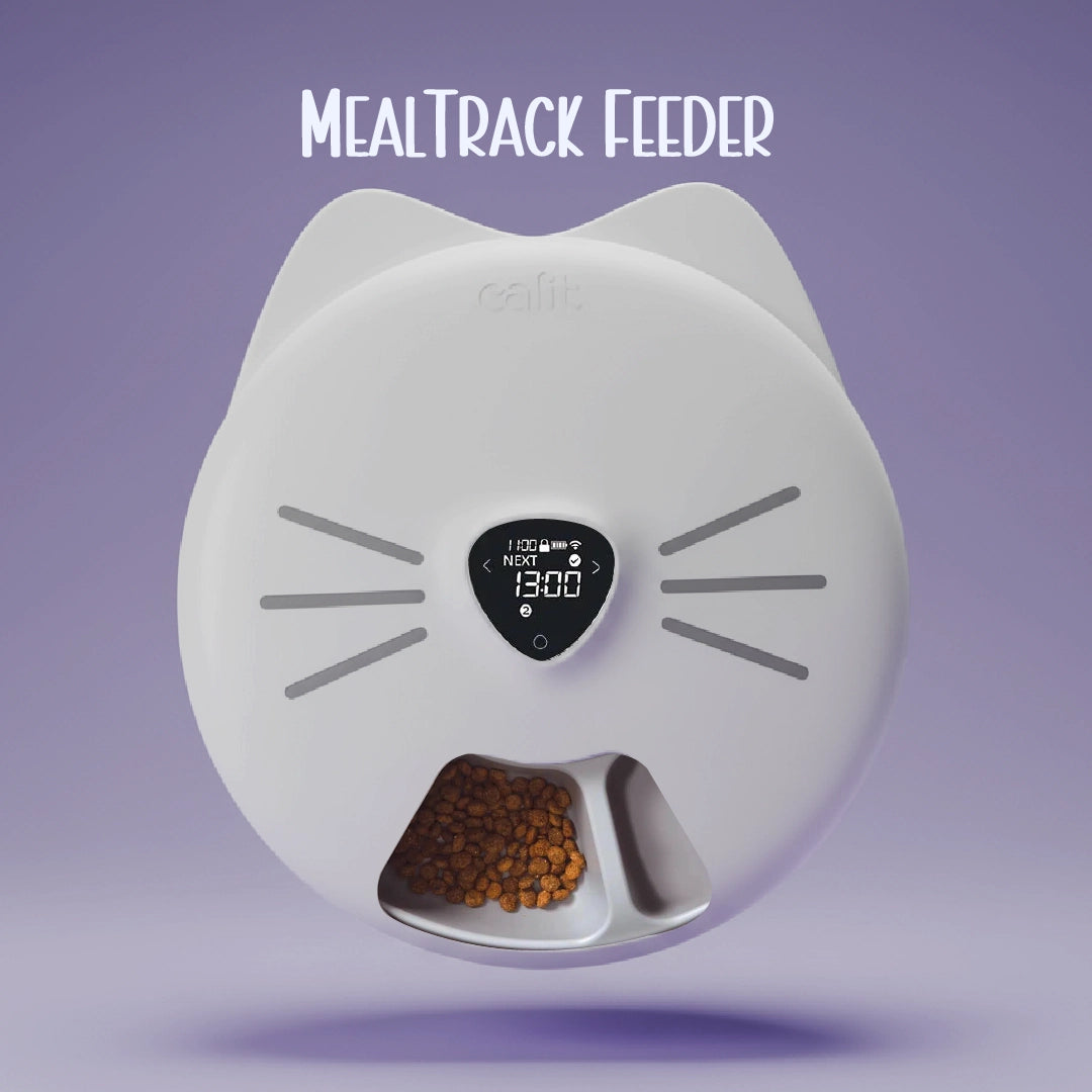 MealTrack Feeder – Automatic Cat Feeder with 6 Meal Spaces