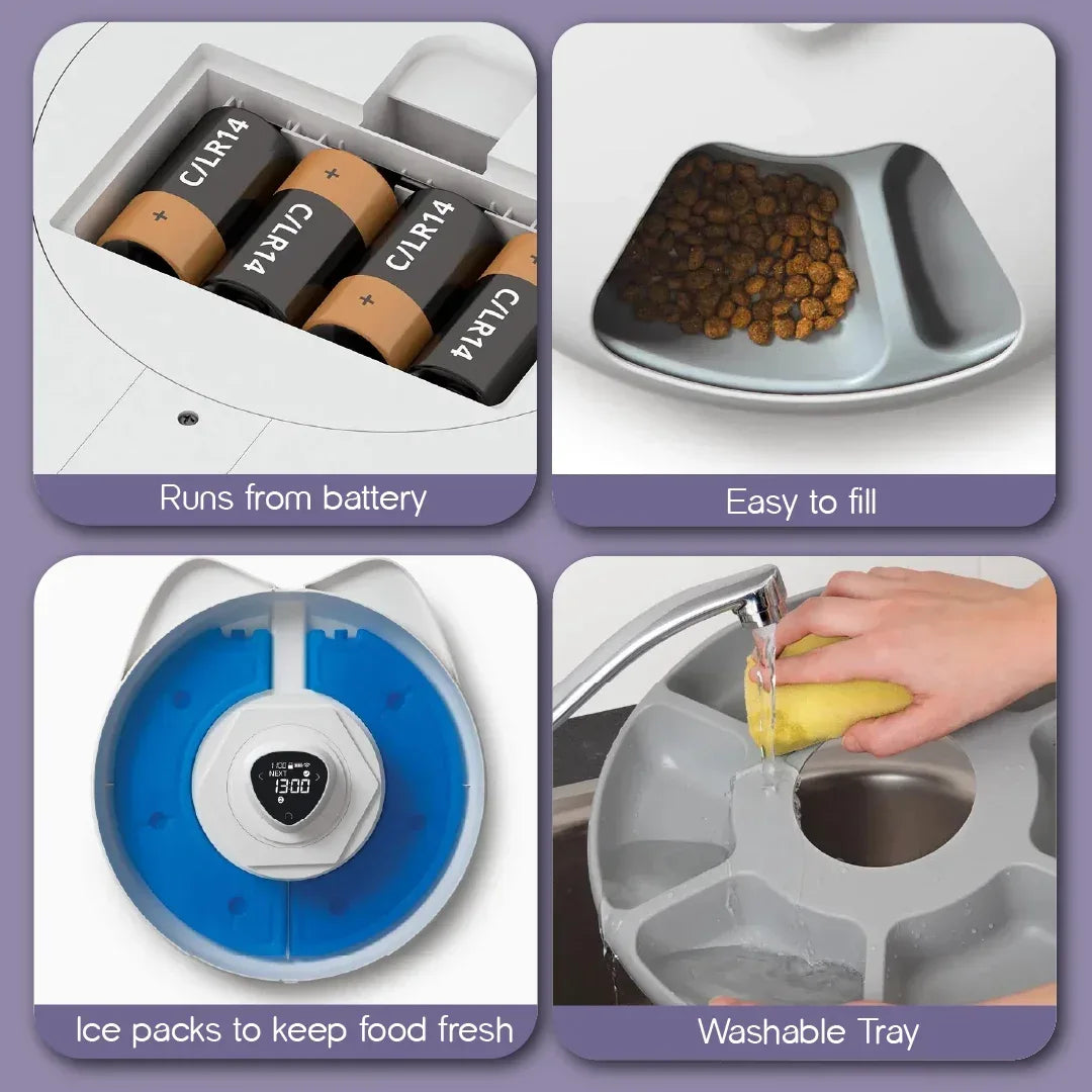 Mealtrack feeder -Catit Six Meal Feeder – Automatic Cat Feeder with 6 Fresh And Hygienic Meals, Fully Bluetooth Controllable - Tilting Heads