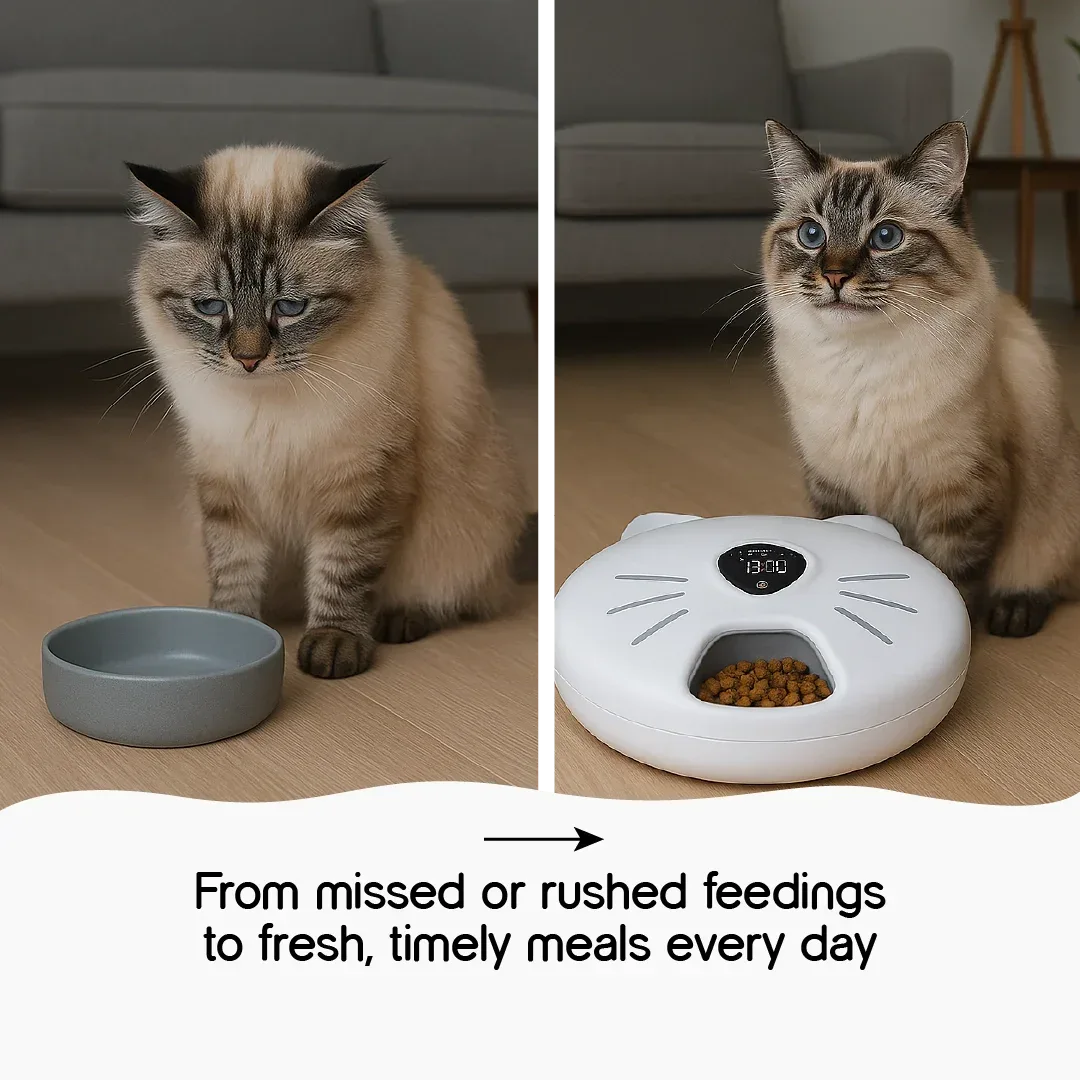 Mealtrack feeder -Catit Six Meal Feeder – Automatic Cat Feeder with 6 Fresh And Hygienic Meals, Fully Bluetooth Controllable - Tilting Heads