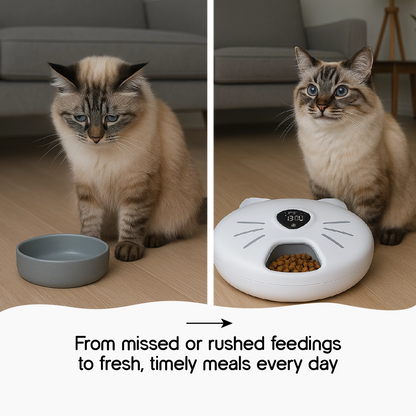 MealTrack Feeder – Automatic Cat Feeder with 6 Meal Spaces