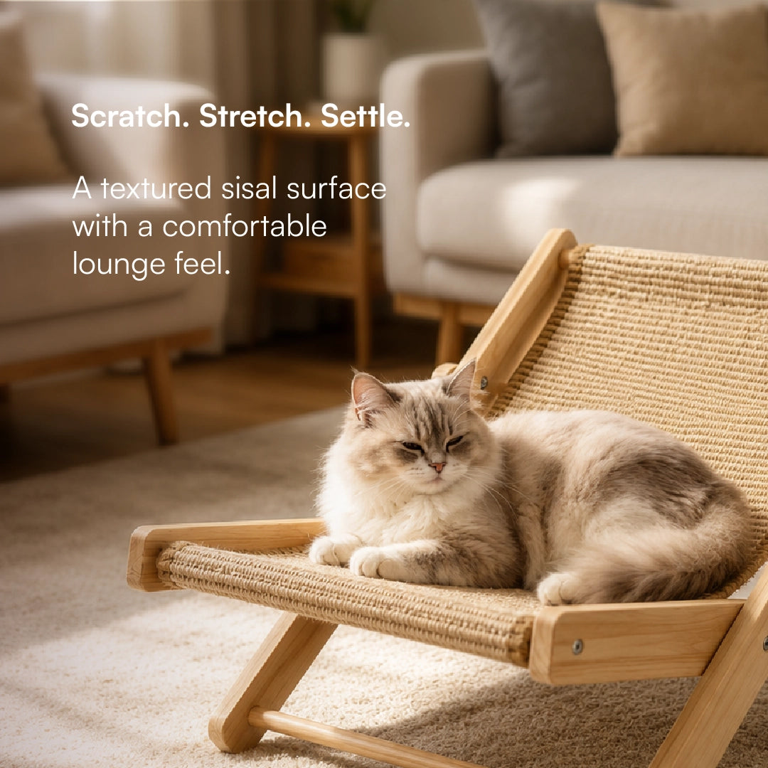 Meow Scratch Lounge – Premium Cat Scratcher & Resting Lounge