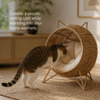 Meow Den | Elevated Handwoven Jute Cat Rest Chair with Cushion