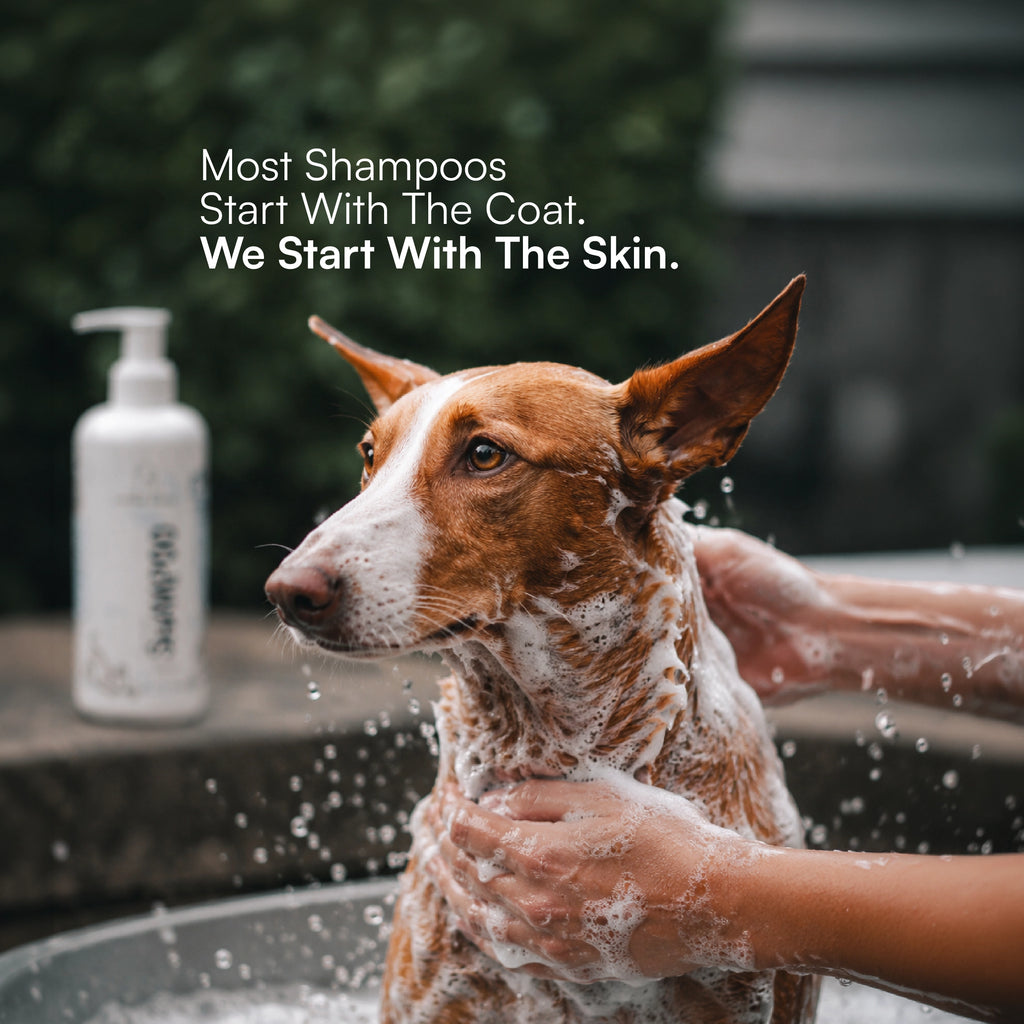 Skin Microbiome Dog & Cat Shampoo
