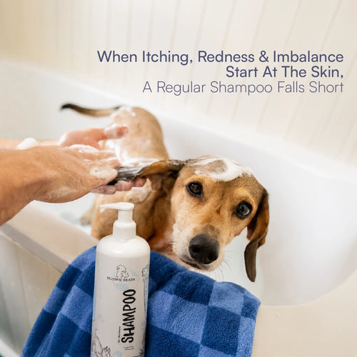 Skin Microbiome Shampoo | Dog & Cat Shampoo for Balanced Skin