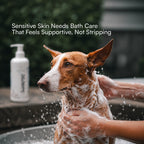 Skin Microbiome Shampoo | Dog & Cat Shampoo for Balanced Skin