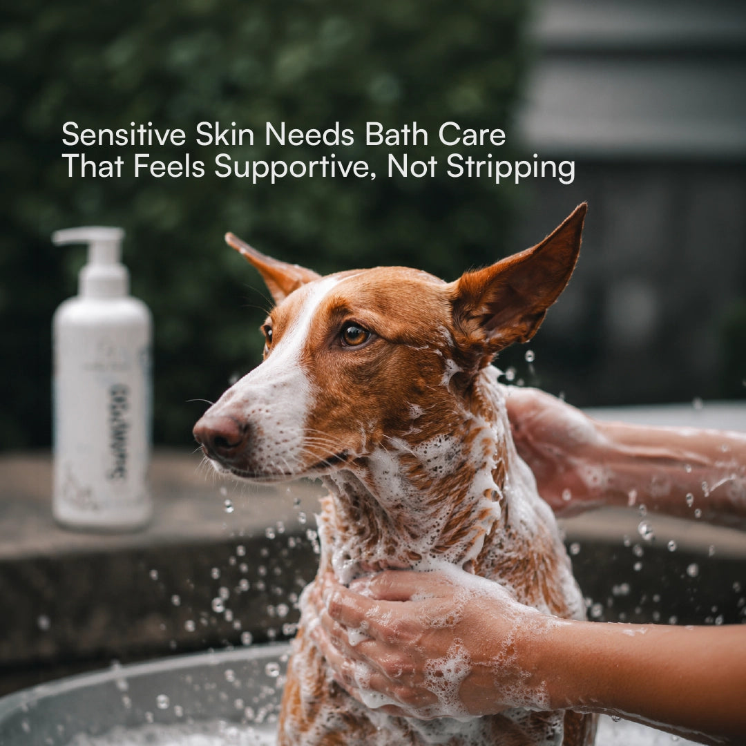 Skin Microbiome Shampoo | Dog & Cat Shampoo for Balanced Skin