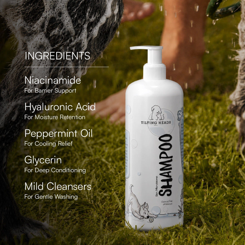 Skin Microbiome Shampoo | Dog & Cat Shampoo for Balanced Skin