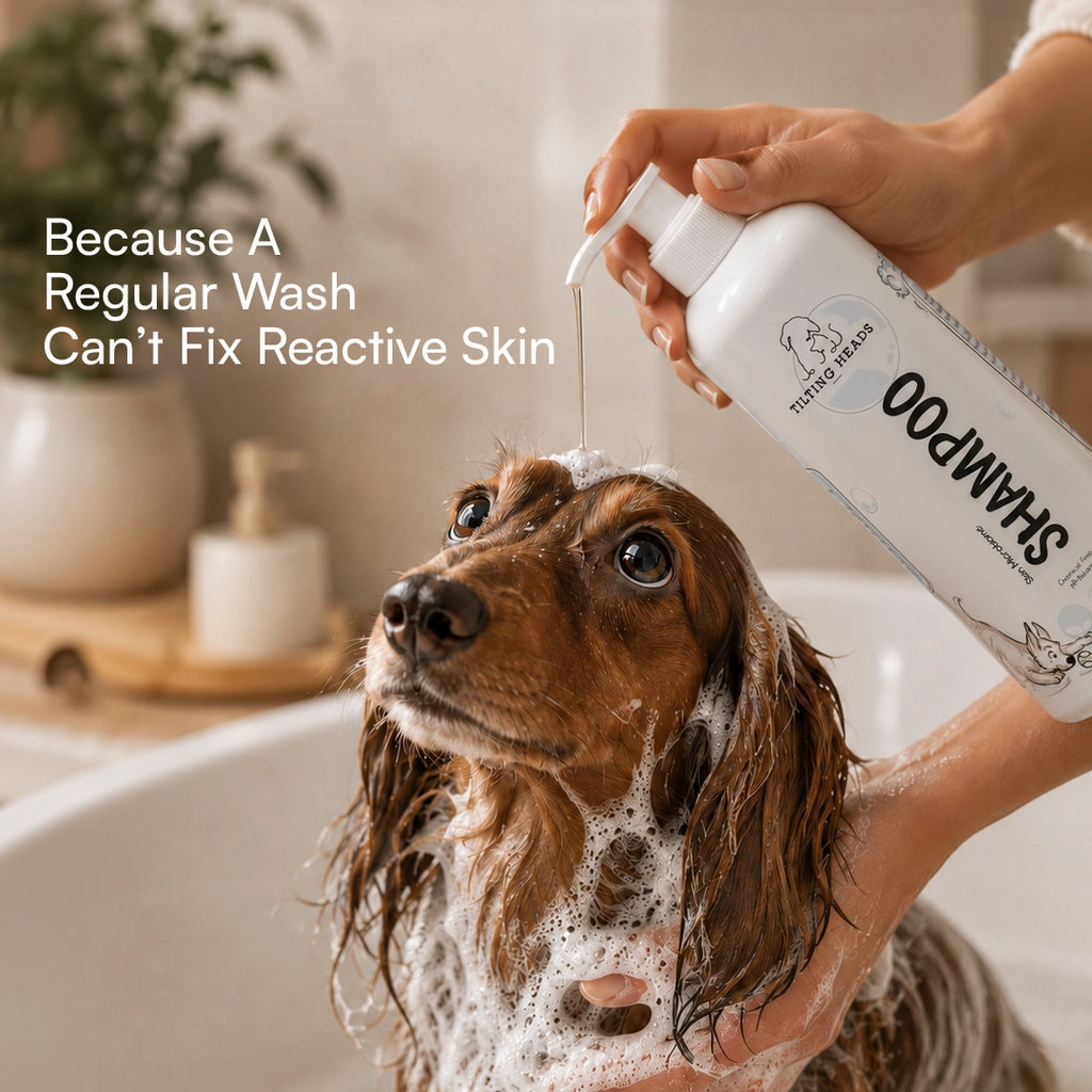 Skin Microbiome Shampoo | Dog & Cat Shampoo for Balanced Skin