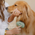 MistCalm Brush | Tangle-Free Mist Grooming for Dogs & Cats