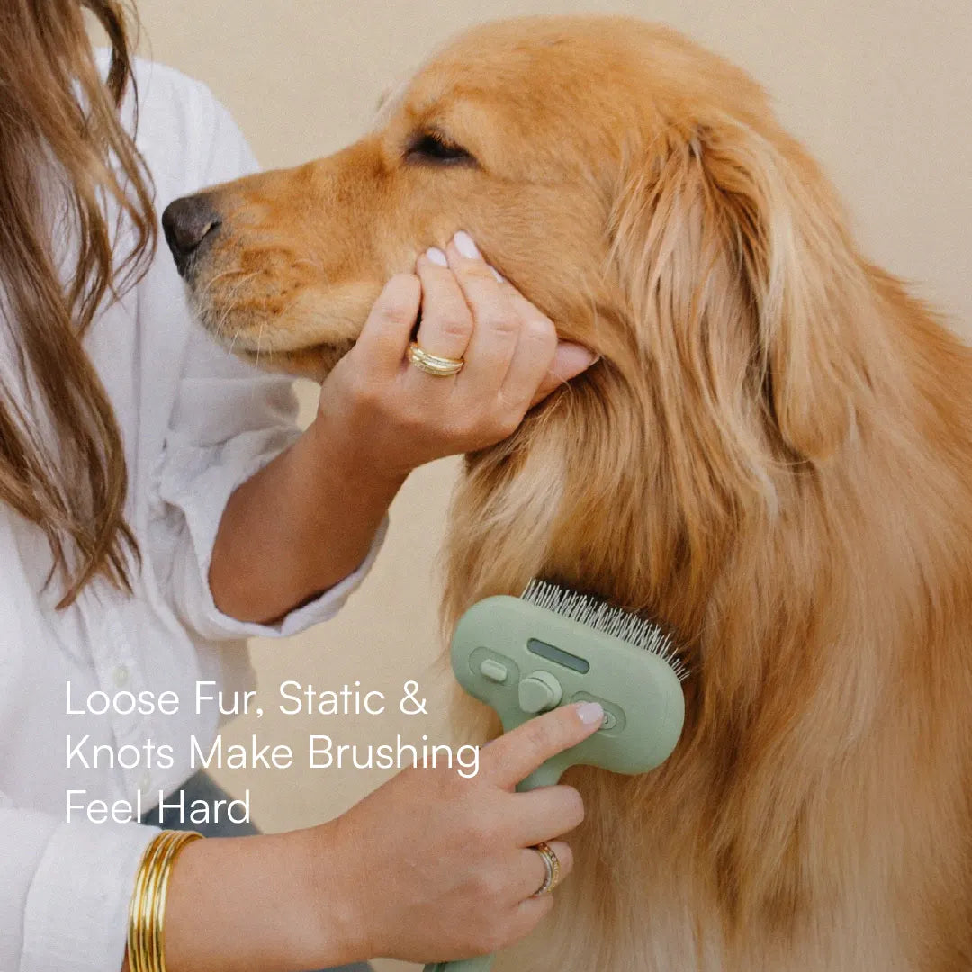MistCalm Brush | Tangle-Free Mist Grooming for Dogs & Cats