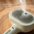 MistCalm Brush | Tangle-Free Mist Grooming for Dogs & Cats