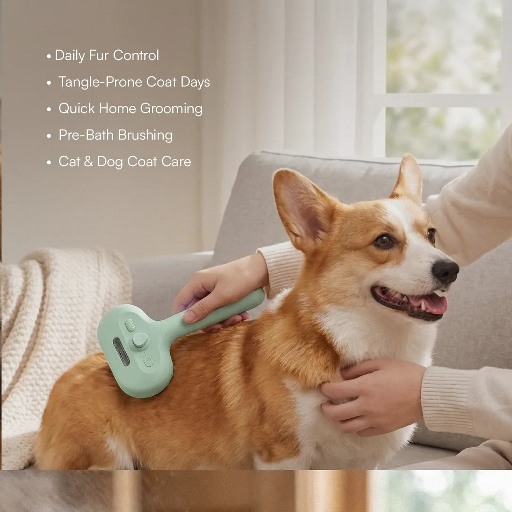 MistCalm Brush | Tangle-Free Mist Grooming for Dogs & Cats