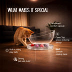Moonbeam Nap Pod | Cozy Capsule Bed | Playful Comfort for Cats - Tilting Heads