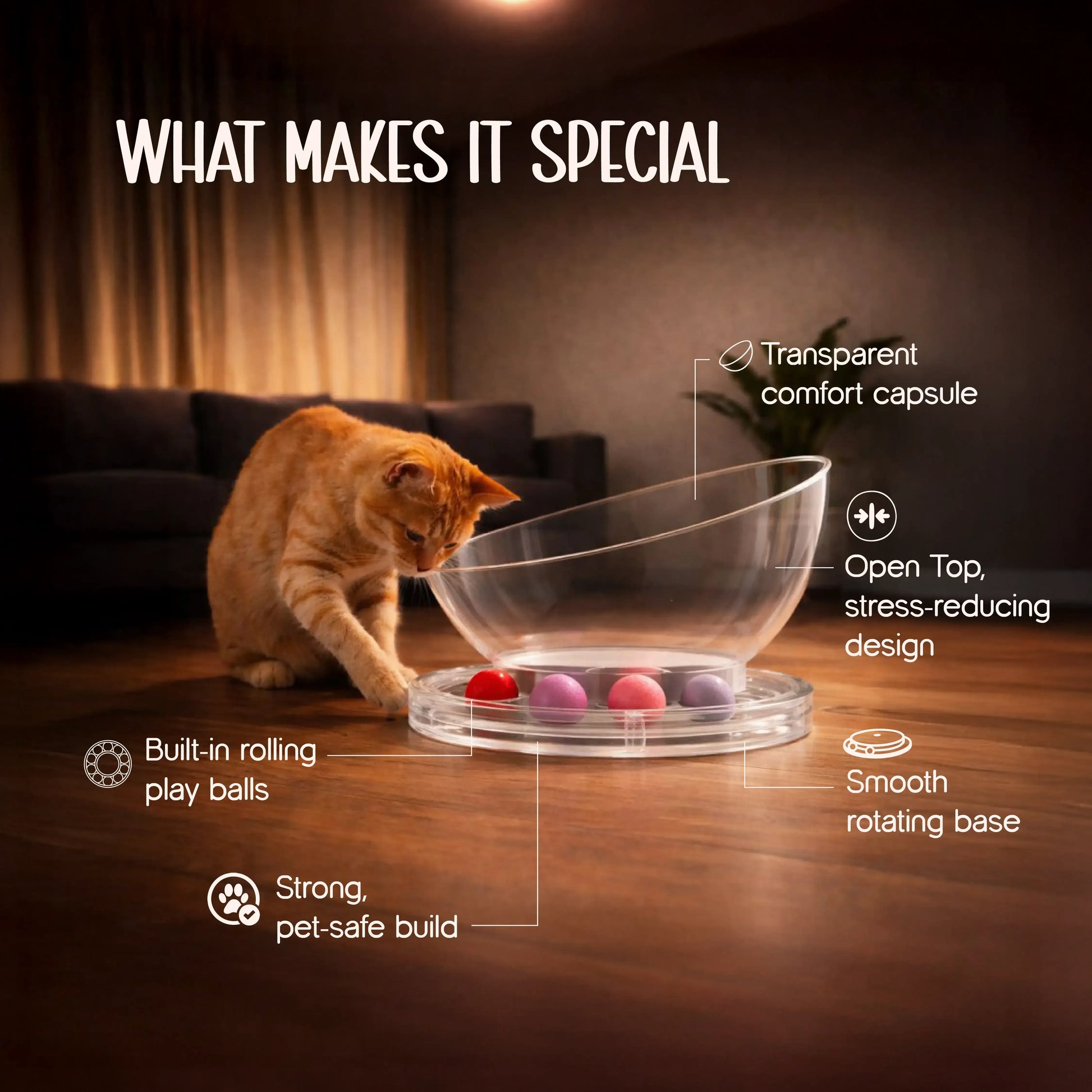 Moonbeam Nap Pod | Cozy Capsule Bed | Playful Comfort for Cats - Tilting Heads