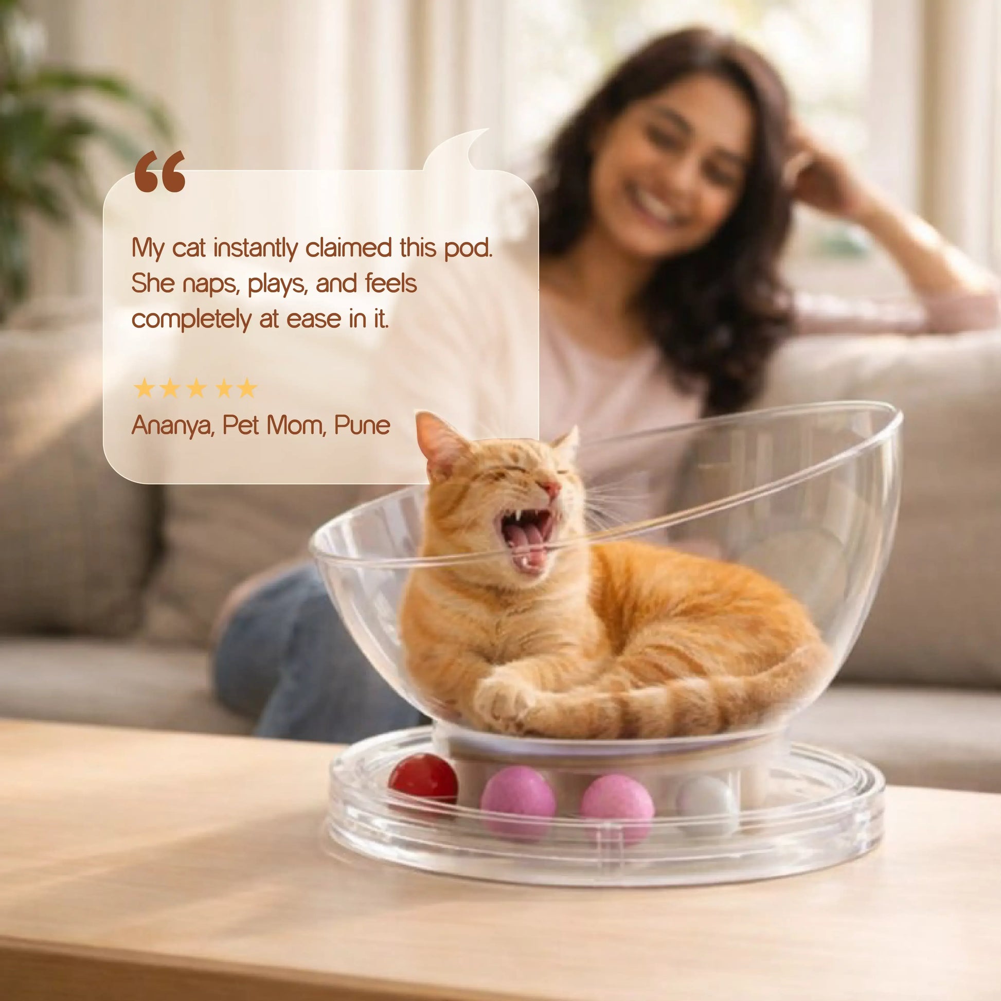 MoonBeam Nap Pod Cozy Capsule Bed for Cats Tilting Heads MoonBeam Nap Pod Cozy Capsule Bed for Cats Tilting Heads