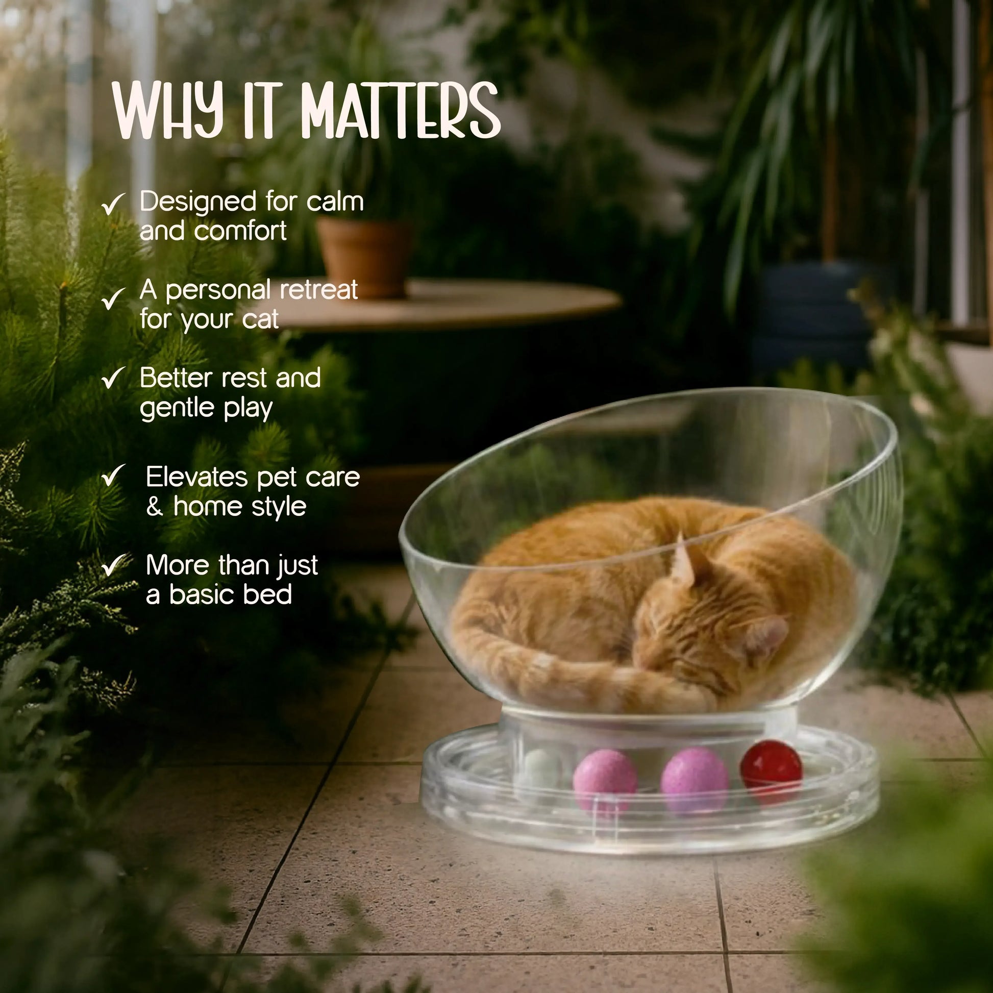 Moonbeam Nap Pod | Cozy Capsule Bed | Playful Comfort for Cats - Tilting Heads