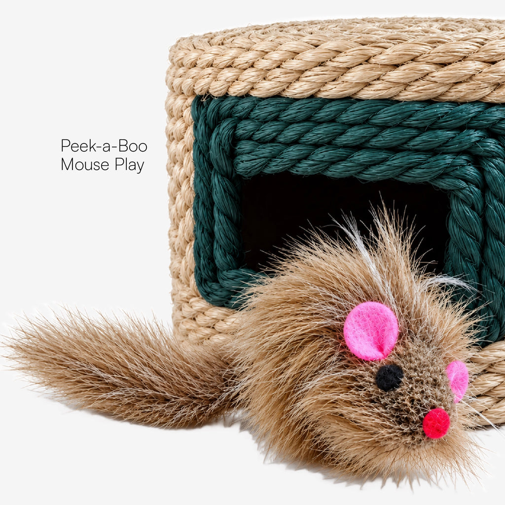 Mystery Scratcher