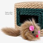 Mystery Scratcher