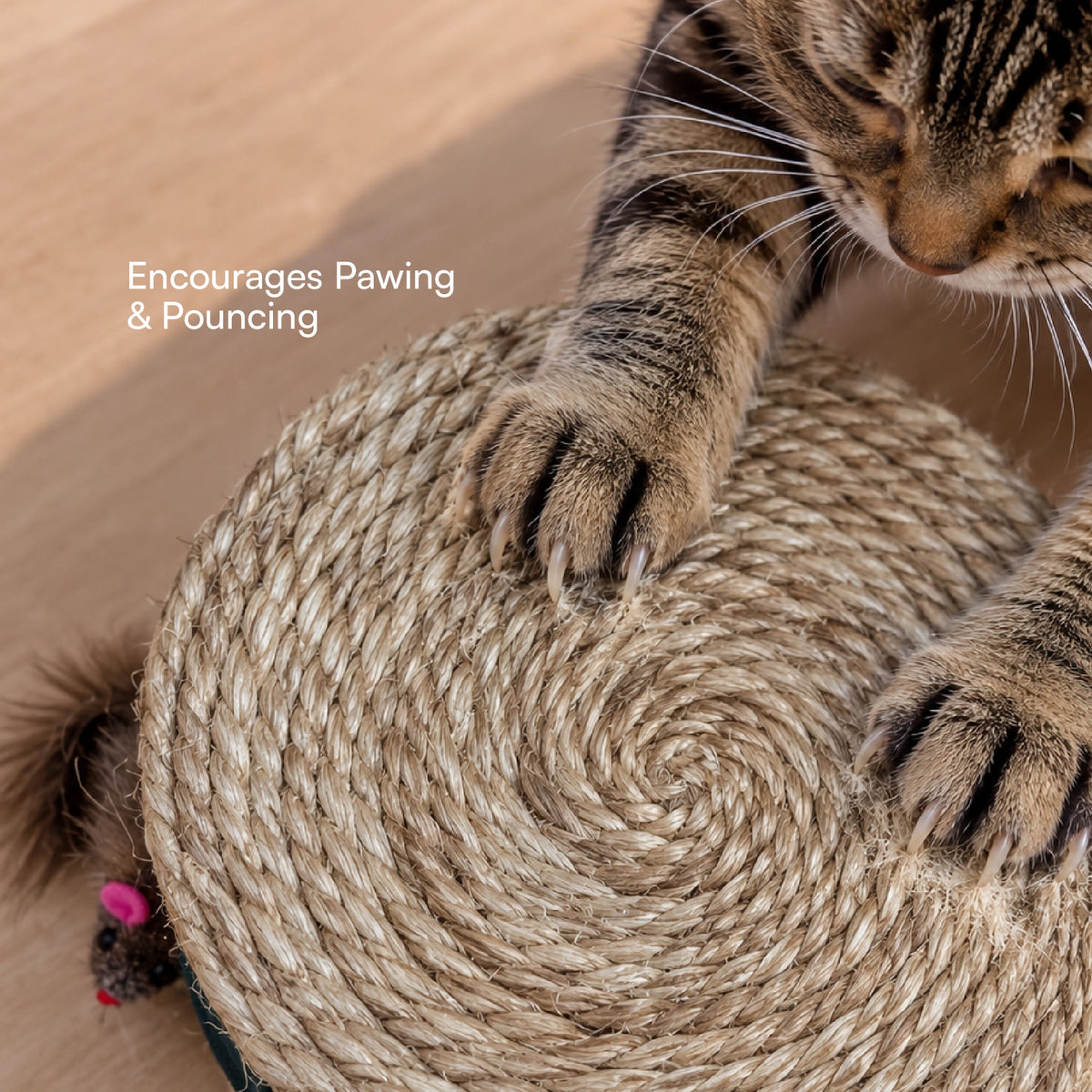 Mystery Scratcher