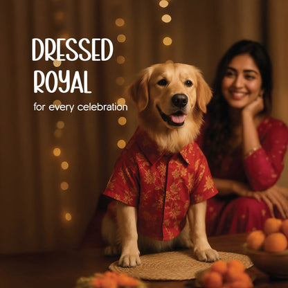 UtsavSitara Kurta – Brocade Fabric | Festive & Regal Style | Easy Velcro Fit