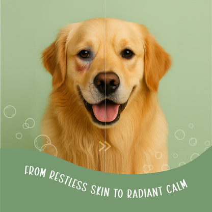 Neem & Tea Tree Oil Shampoo | Dog Shampoo with Nature's Antibacterial Formula