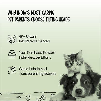 Neem & Tea Tree Oil Shampoo | Dog Shampoo with Nature's Antibacterial Formula