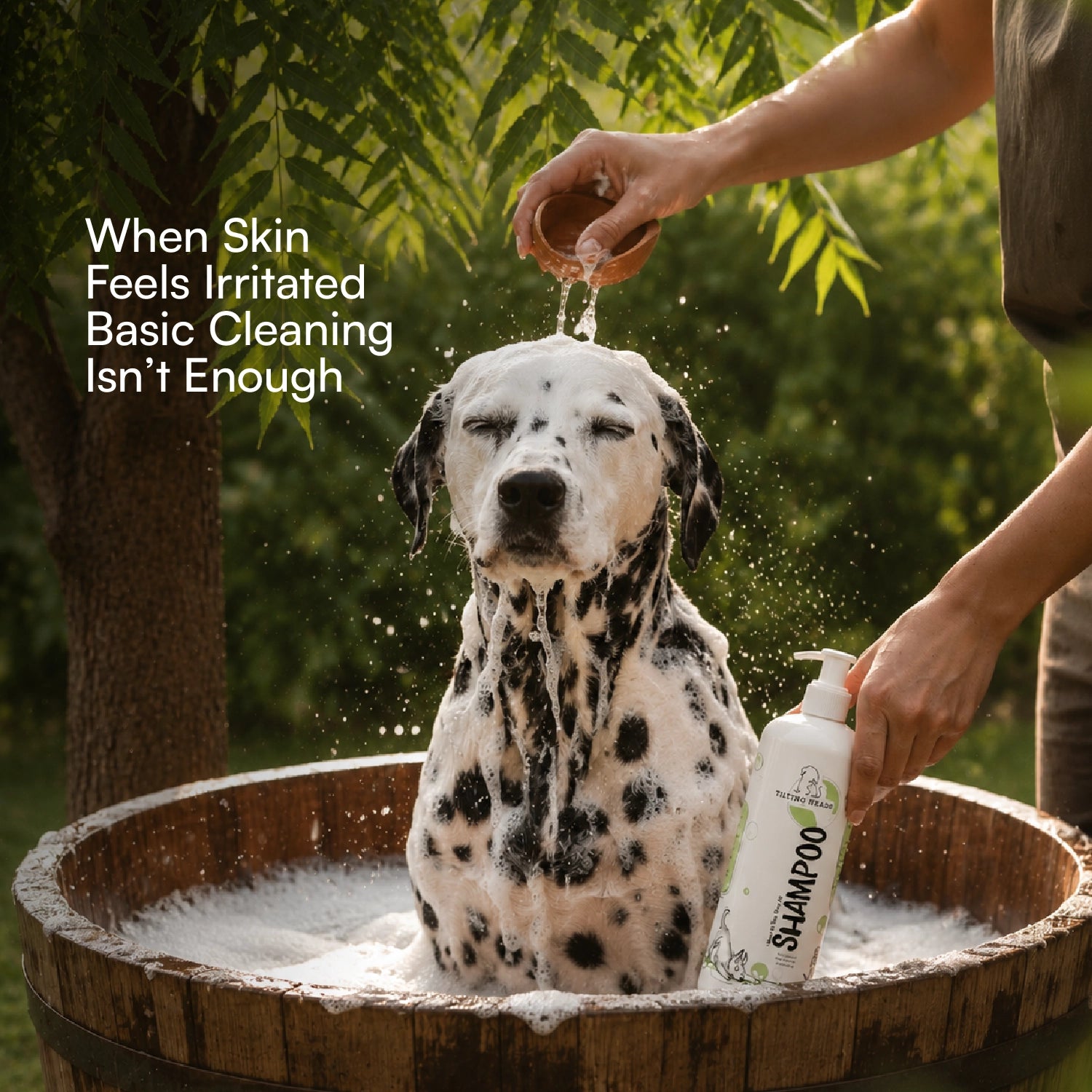 Neem & Tea Tree Oil Shampoo | Dog Shampoo with Nature's Antibacterial Formula