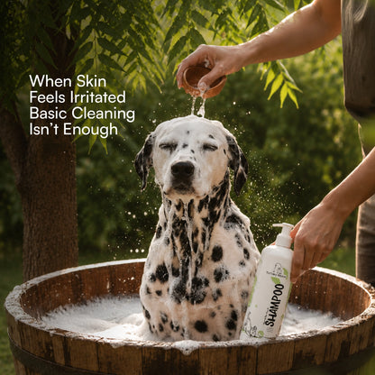 Neem & Tea Tree Oil Shampoo | Dog Shampoo with Nature's Antibacterial Formula