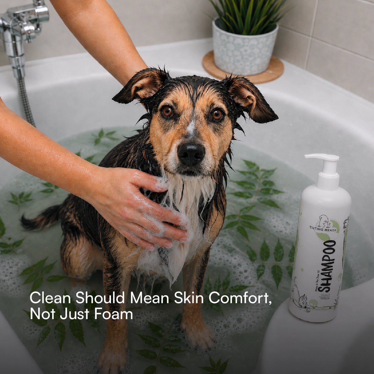 Neem & Tea Tree Oil Shampoo | Dog Shampoo with Nature's Antibacterial Formula