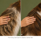 Neem & Tea Tree Oil Shampoo | Dog Shampoo with Nature's Antibacterial Formula