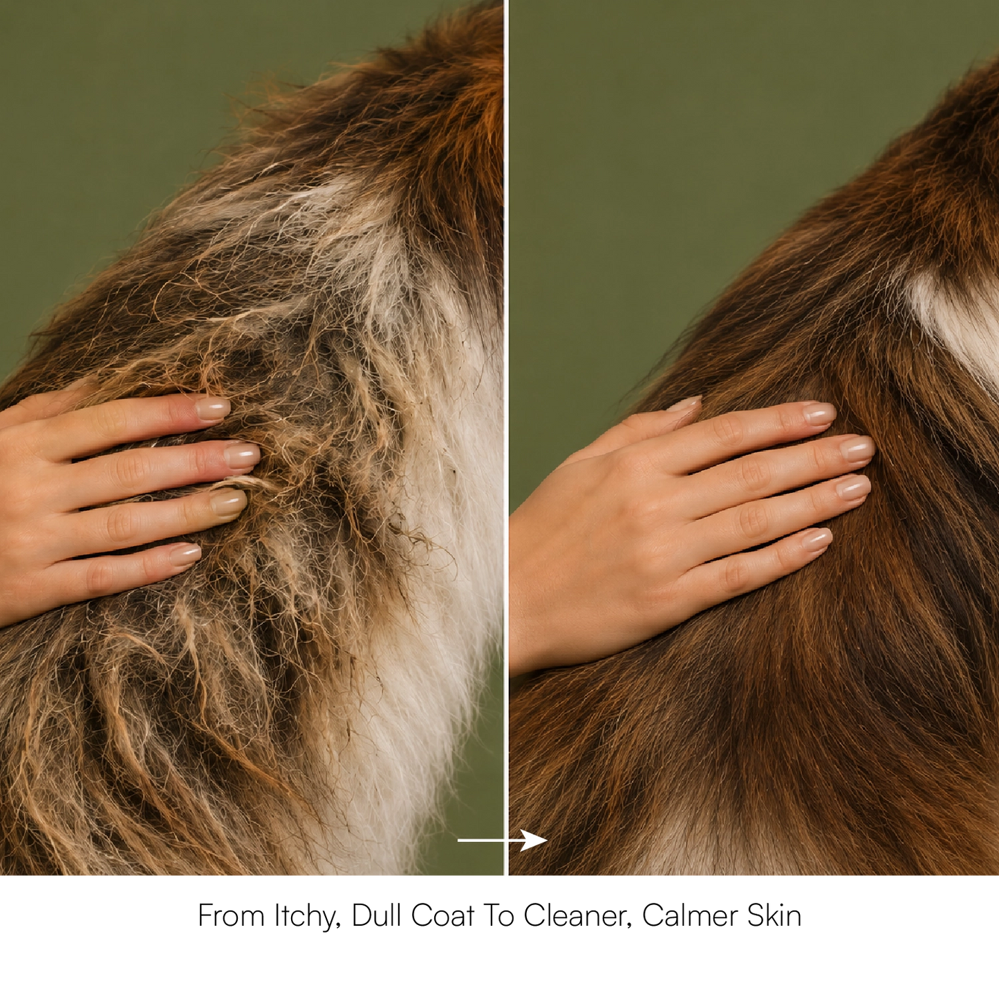 Neem & Tea Tree Oil Shampoo | Dog Shampoo with Nature's Antibacterial Formula
