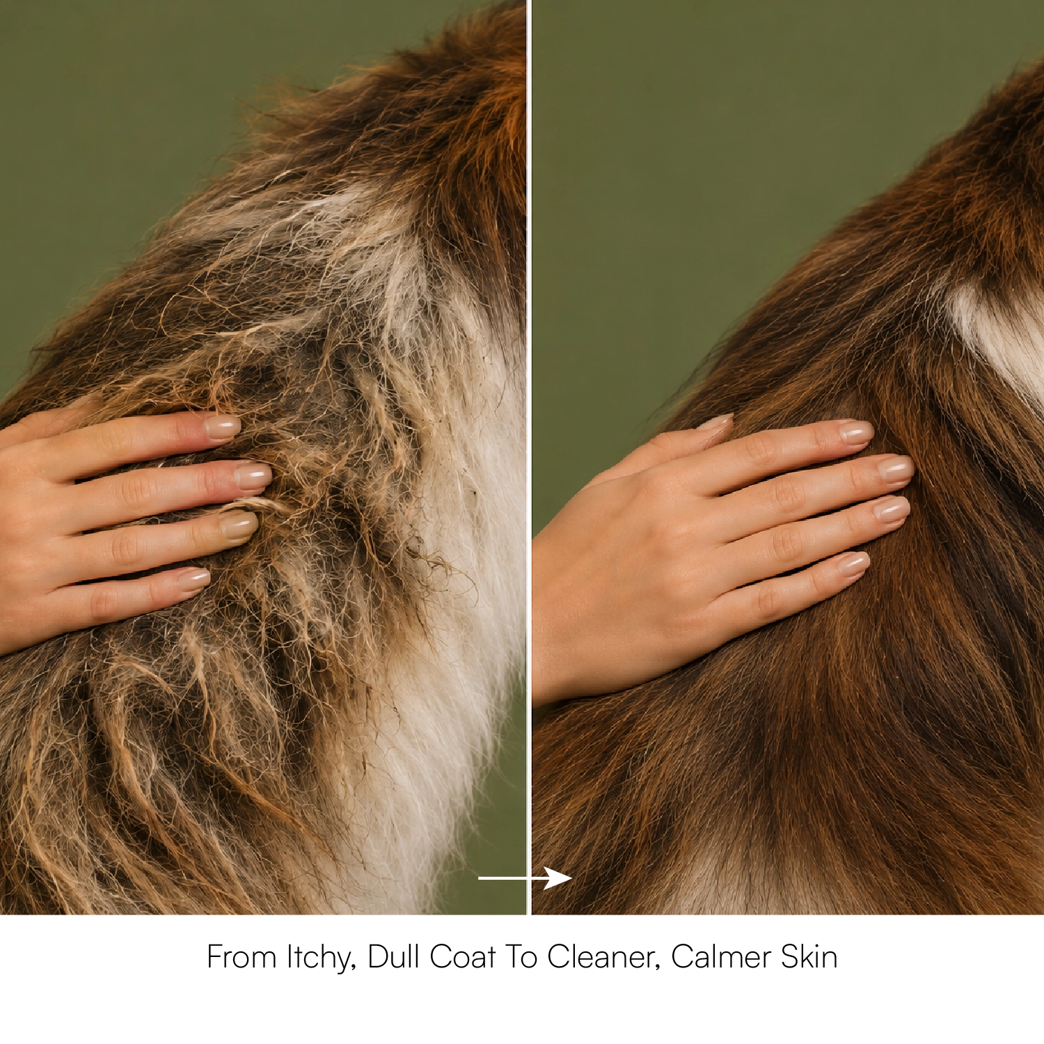 Neem & Tea Tree Oil Shampoo | Dog Shampoo with Nature's Antibacterial Formula