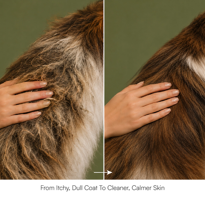Neem & Tea Tree Oil Shampoo | Dog Shampoo with Nature's Antibacterial Formula