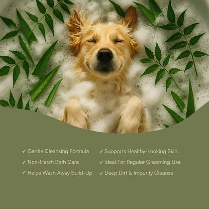 Neem & Tea Tree Oil Shampoo | Dog Shampoo with Nature's Antibacterial Formula