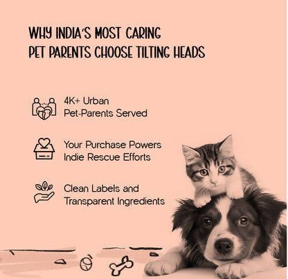 Aurora Litter Den – Clean, Comfy & Private Litter Space for Cats