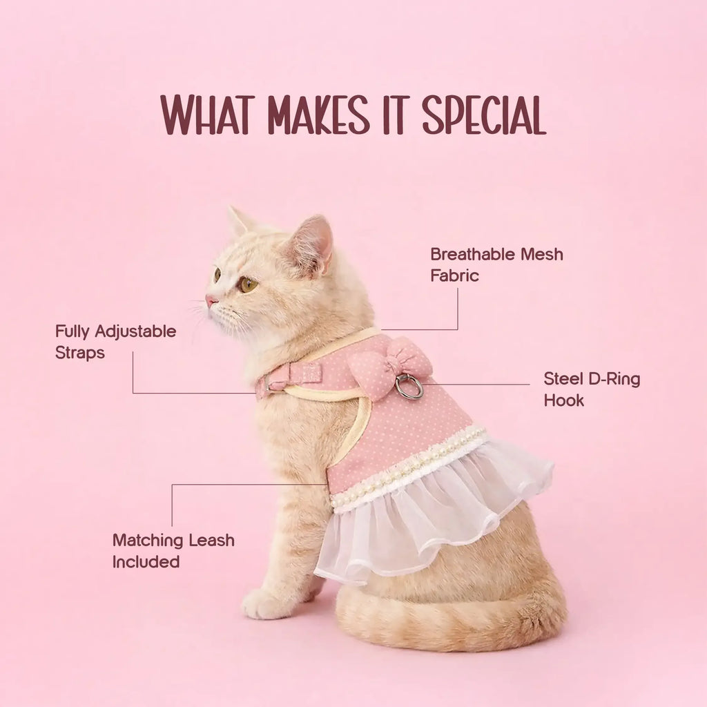 BowBelle Harness – Stylish Comfortable Walking Harness for Cats - Tilting Heads