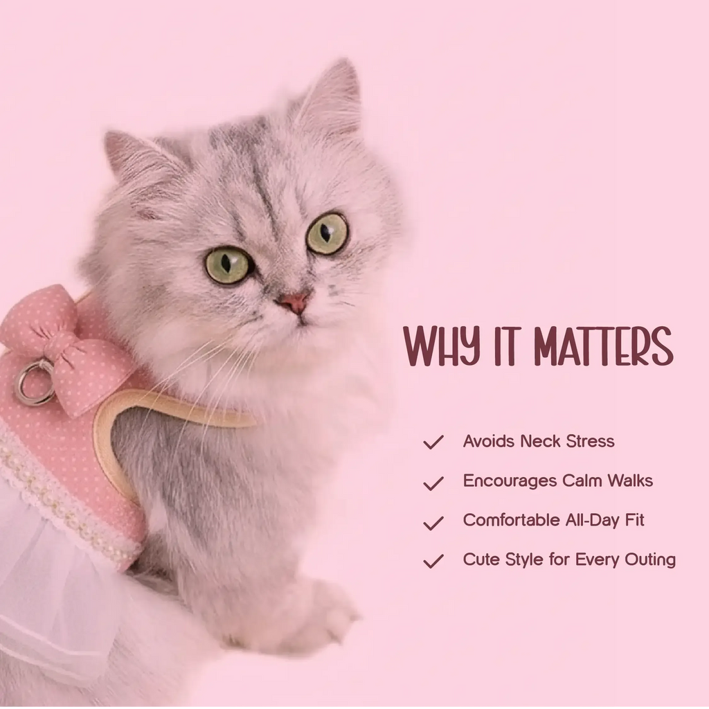 BowBelle Harness – Stylish Comfortable Walking Harness for Cats - Tilting Heads