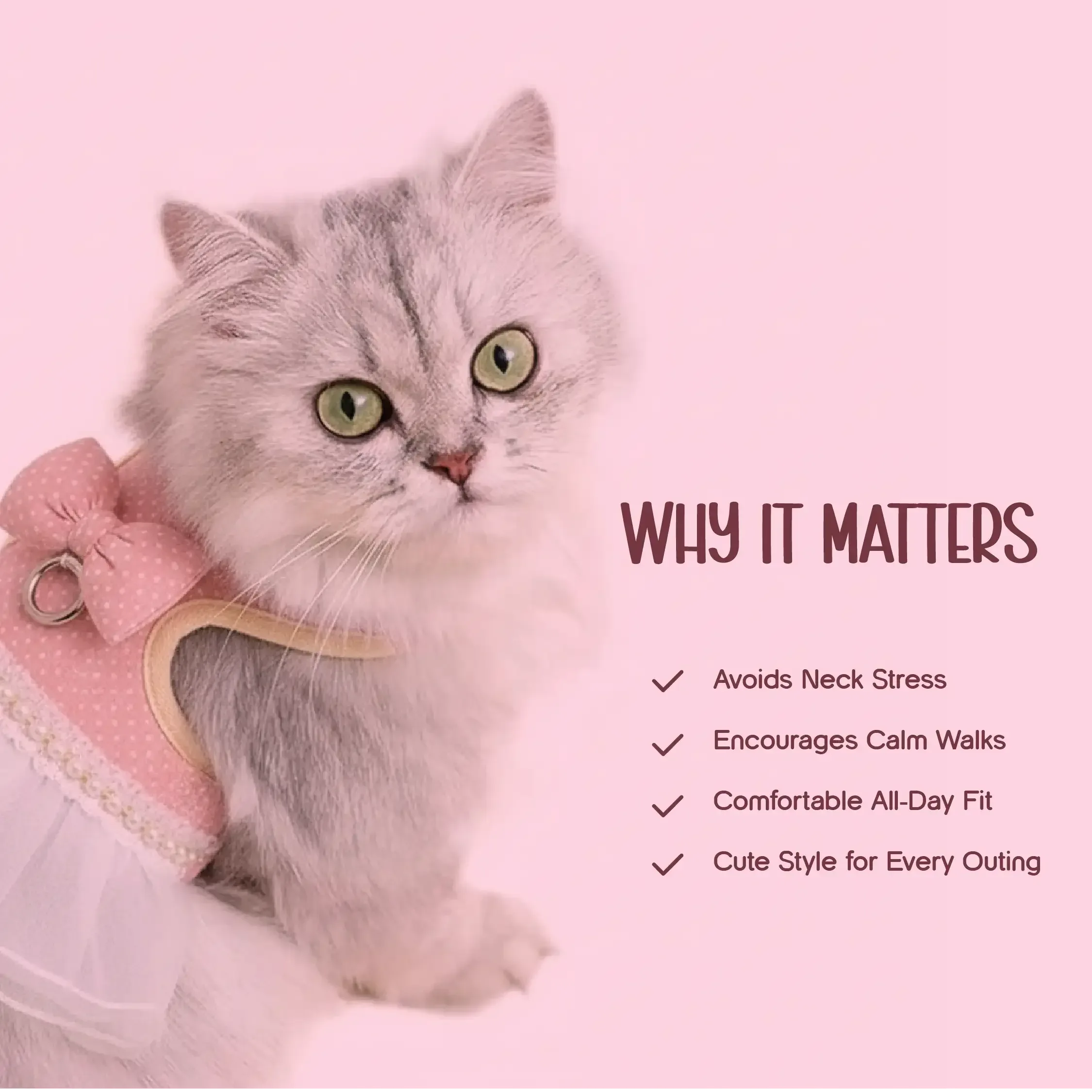 BowBelle Harness – Stylish Comfortable Walking Harness for Cats - Tilting Heads
