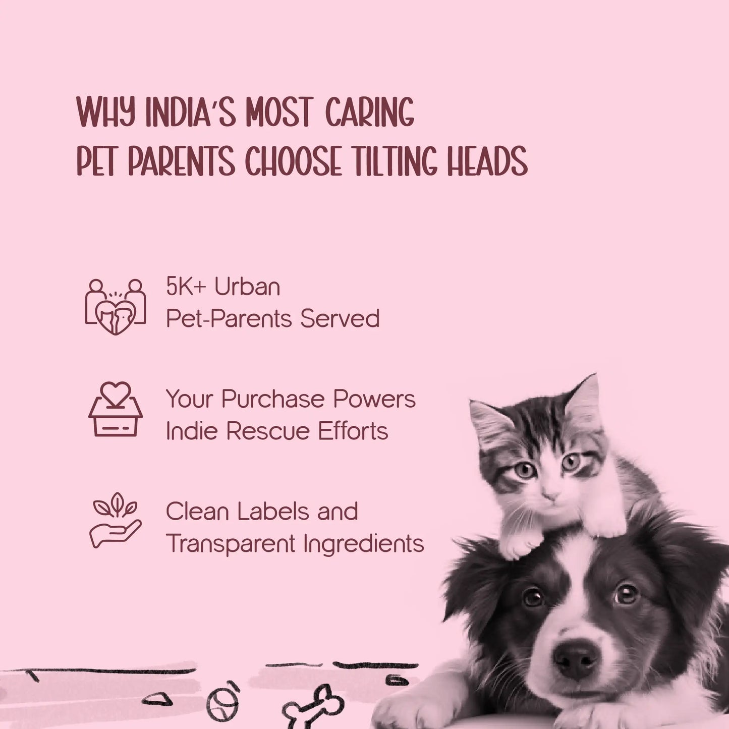 BowBelle Harness – Stylish Comfortable Walking Harness for Cats