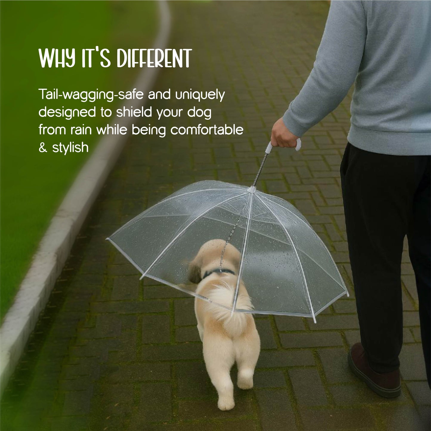 NoDrip Monsoon Cap | Leash-Integrated Dog Umbrella | Perfect Fit for Small Breeds