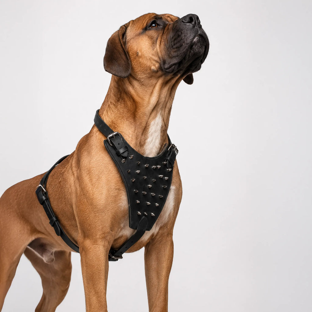 Oathkeeper Spike Harness