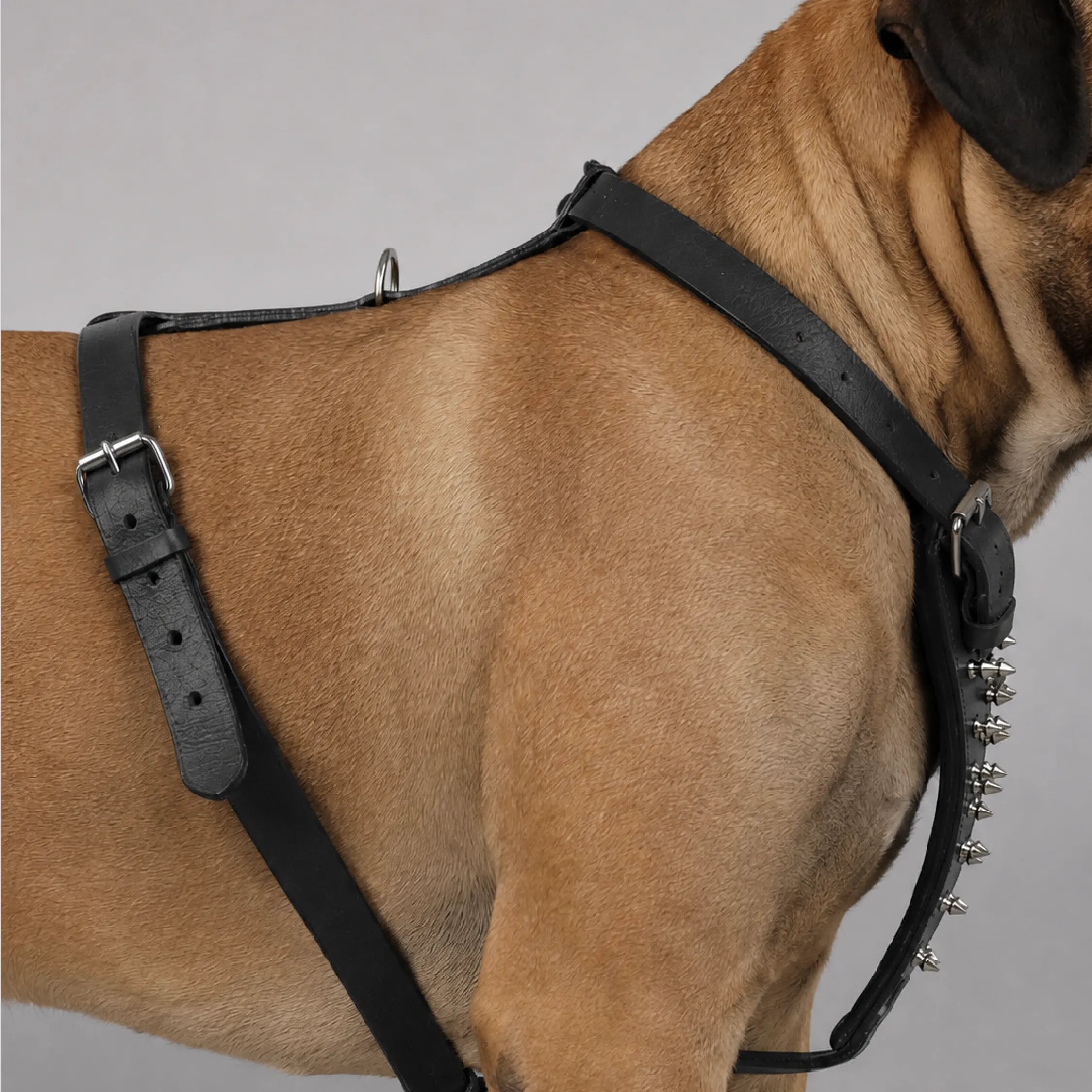 Oathkeeper Spike Harness