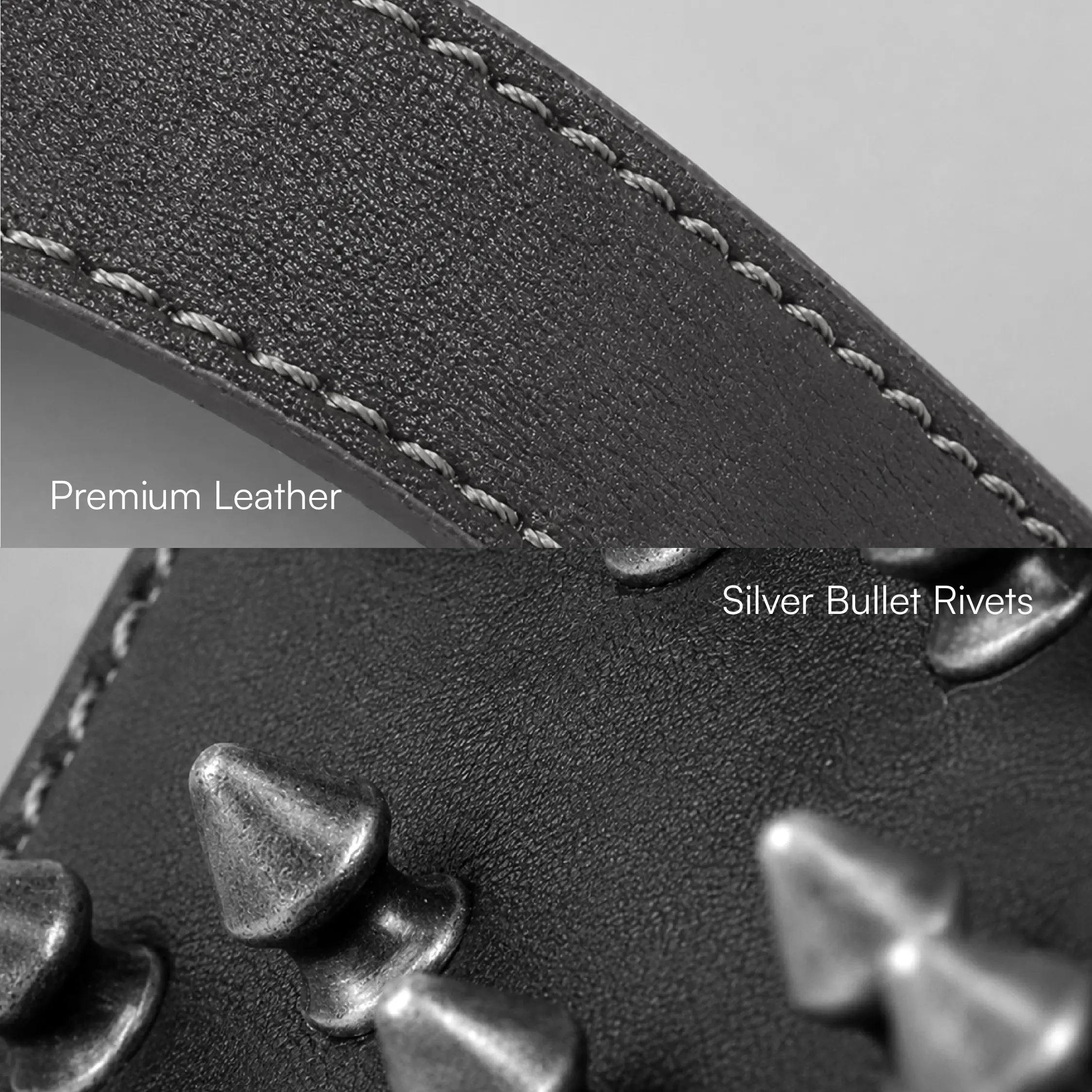 Oathkeeper Spike Harness