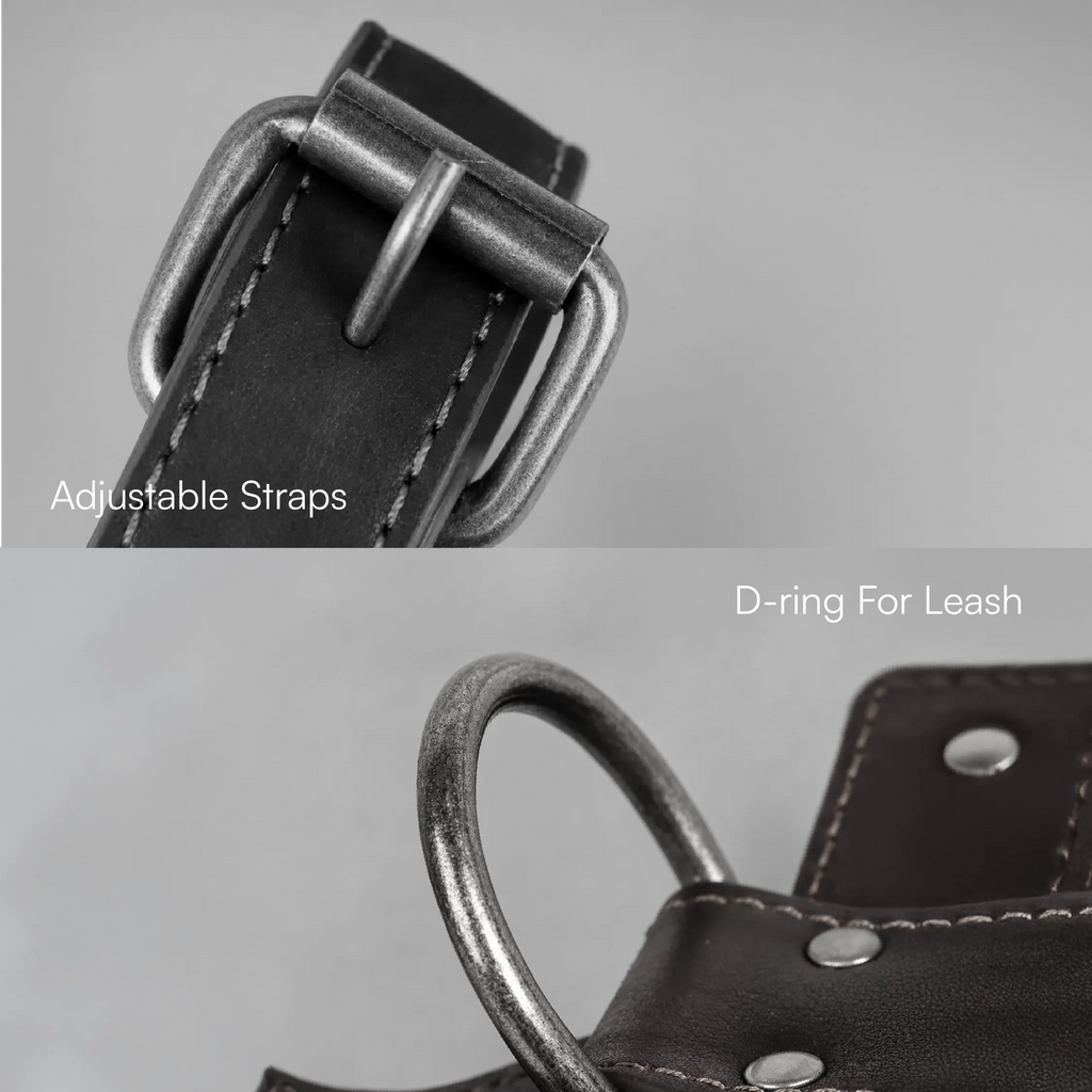 Oathkeeper Spike Harness
