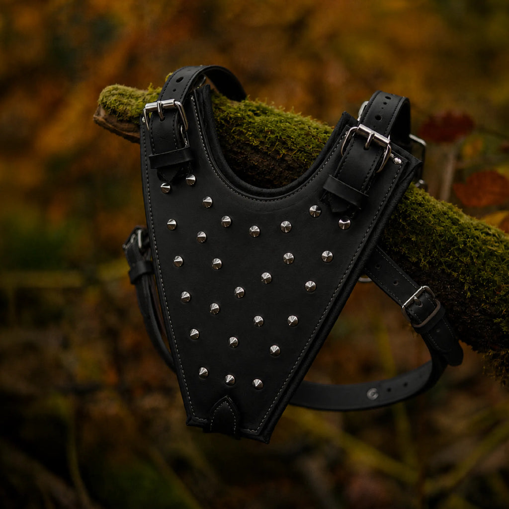 Oathkeeper Spike Harness