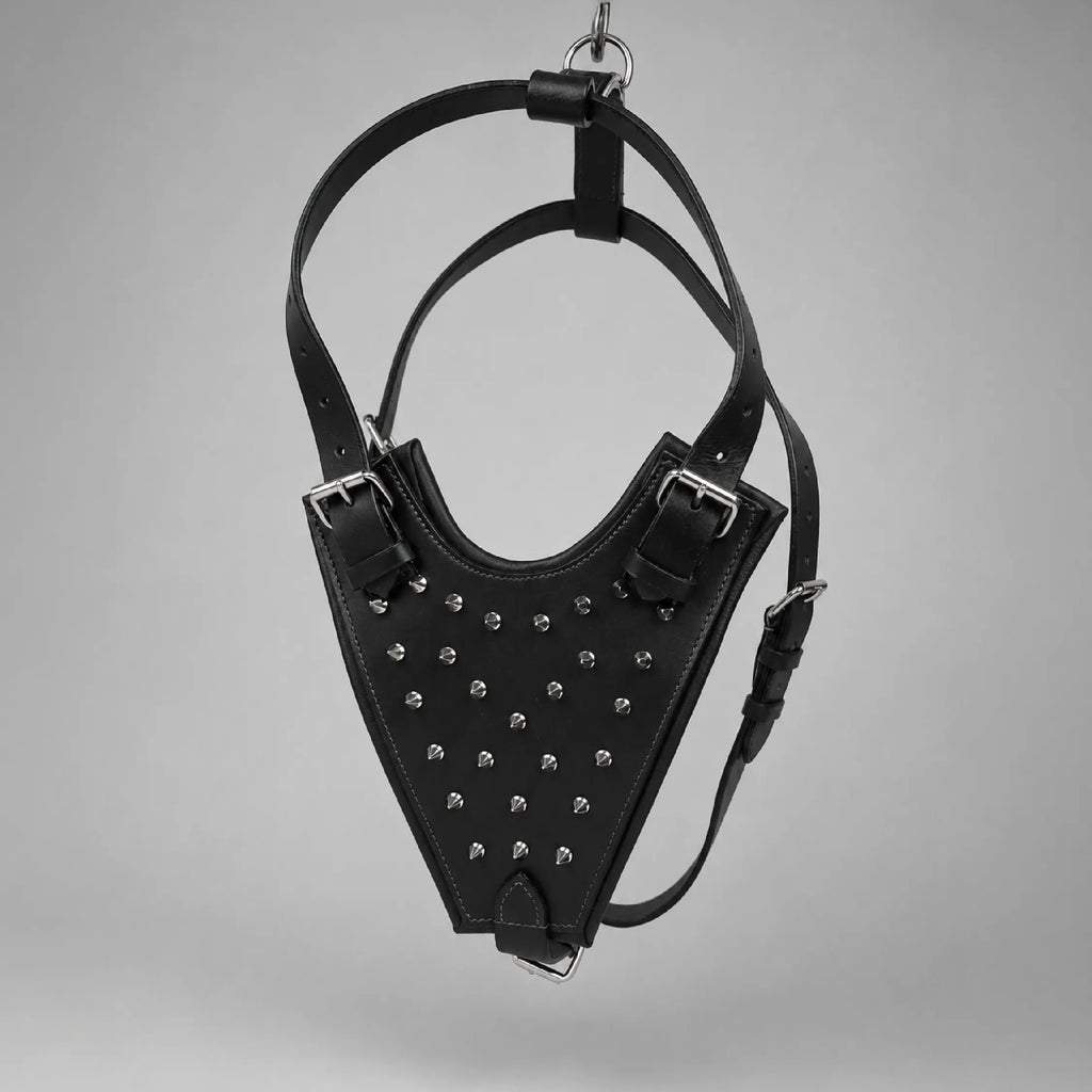 Oathkeeper Spike Harness