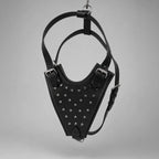 Oathkeeper Spike Harness